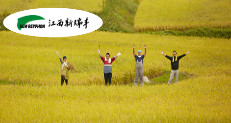 新瑞豐-百年(nián)基業(yè)，信息為(wèi)本，以農(nóng)為(wèi)先